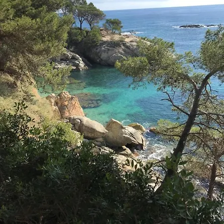 T3 De 65 M2 Terrasse Jardin A 300 M De La Platja d'Aro (Playa de Aro)