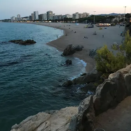 Apartamento T3 De 65 M2 Terrasse Jardin A 300 M De La Platja d'Aro (Playa de Aro)