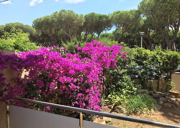 T3 De 65 M2 Terrasse Jardin A 300 M De La Lejlighed