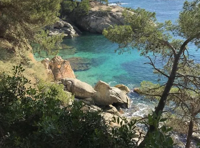 T3 De 65 M2 Terrasse Jardin A 300 M De La Platja d'Aro