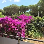 T3 De 65 M2 Terrasse Jardin A 300 M De La Daire