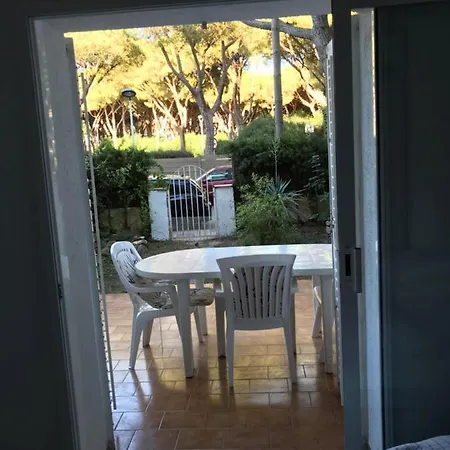 Daire T3 De 65 M2 Terrasse Jardin A 300 M De La