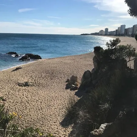 T3 De 65 M2 Terrasse Jardin A 300 M De La Appartement *