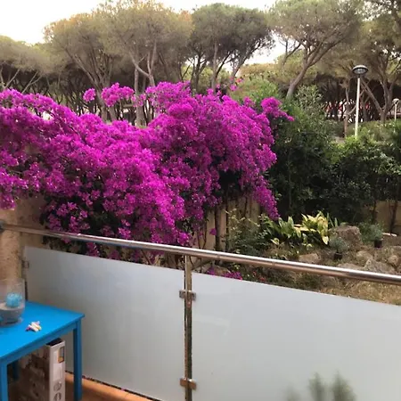 T3 De 65 M2 Terrasse Jardin à 300 M De La * Castell-Platja d'Aro