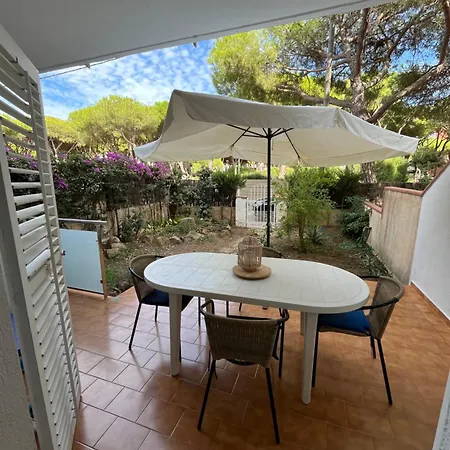T3 De 65 M2 Terrasse Jardin à 300 M De La