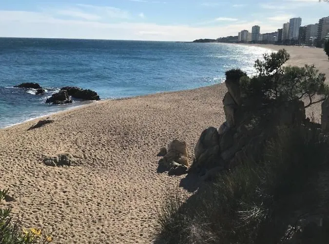 T3 De 65 M2 Terrasse Jardin A 300 M De La Daire *