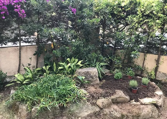 T3 De 65 M2 Terrasse Jardin A 300 M De La Lägenhet *