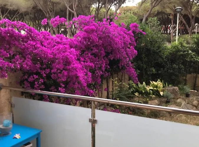 T3 De 65 M2 Terrasse Jardin A 300 M De La * Platja d'Aro